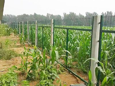 高鐵沿線護(hù)欄網(wǎng)