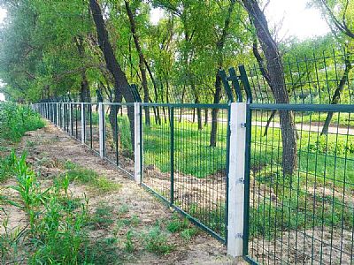 高鐵防護(hù)護(hù)欄網(wǎng)